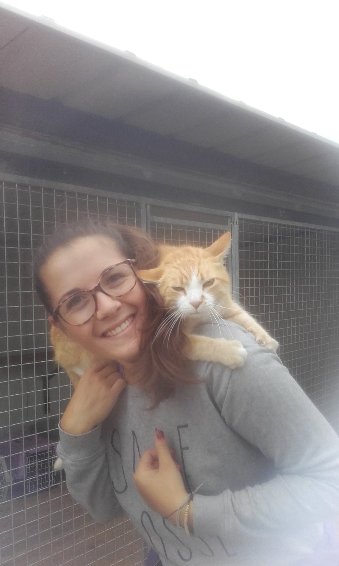 Moment de tendresse avec un cheval