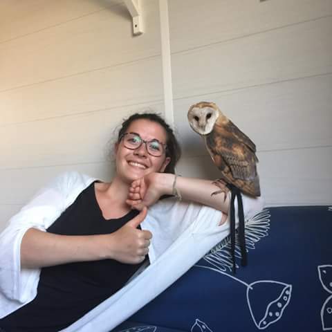 Rencontre avec un rapace