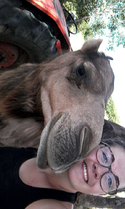 Selfie avec un animal